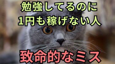 勉強してるのに1円も稼げない人がやっている致命的なミス